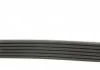 Ремінь насосу ГУ, 3.0CDI Contitech 6PK691ELAST (фото 2)