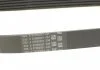Ремінь насосу ГУ, 3.0CDI Contitech 6PK691ELAST (фото 3)