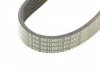 Ремінь насосу ГУ, 3.0CDI Contitech 6PK691ELAST (фото 4)