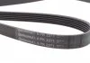 Пас поликлиновый MB Sprinter CDI (+AC) Contitech 6PK2271 (фото 3)