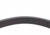 Пас поликлиновый MB Sprinter CDI (+AC) Contitech 6PK2271 (фото 4)