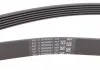 Ремень генератора, Mondeo 07-15/Outlander 03-09/ Epica 06-12 Contitech 6PK1836 (фото 2)