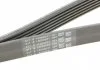 Ремень генератора W202/210 Kompr. M111 (PS) Contitech 6PK1775 (фото 3)