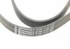 Ремень генератора W202/210 Kompr. M111 (PS) Contitech 6PK1775 (фото 4)