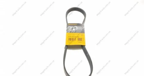 Ремінь генератора, 6PK1019 ELAST Contitech 6PK1019ELAST