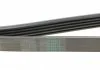 Поліклиновий ремінь BMW 5 (E39), 7 (E38) HYUNDAI ACCENT III, GETZ KIA CERATO I, RIO II 1.5D/1.6D/2.5D 01.96-12.11 Contitech 5PK1850 (фото 3)