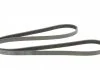 Поліклиновий ремінь BMW 5 (E39), 7 (E38) HYUNDAI ACCENT III, GETZ KIA CERATO I, RIO II 1.5D/1.6D/2.5D 01.96-12.11 Contitech 5PK1850 (фото 5)