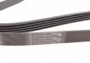 Ремень поликлиновый (произ-во ContiTech) Contitech 5PK1334 (фото 2)