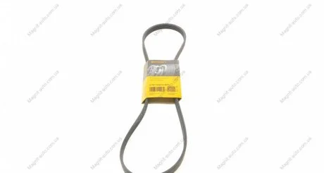 Поликлиновый ремень (5PK1236) HYUNDAI I10 I, I20 I, I20 II 1.2/1.2LPG 09.08-09.21 Contitech 5PK1236ELAST