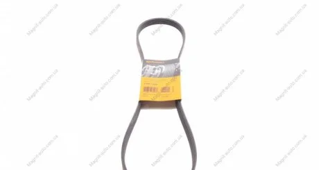 Поліклиновий ремінь RVI MAGNUM 16.4D 10.92- Contitech 5PK1225