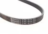 Поліклиновий ремінь ALFA ROMEO 159, BRERA, SPIDER BYD F3 KIA CLARUS MITSUBISHI COLT V, GALANT VIII, LANCER VI ROVER CITYROVER TOYOTA COROLLA, COROLLA FX 1.3-2.5 10.84-12.17 Contitech 5PK1070 (фото 2)