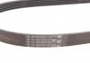Поліклиновий ремінь ALFA ROMEO 159, BRERA, SPIDER BYD F3 KIA CLARUS MITSUBISHI COLT V, GALANT VIII, LANCER VI ROVER CITYROVER TOYOTA COROLLA, COROLLA FX 1.3-2.5 10.84-12.17 Contitech 5PK1070 (фото 3)