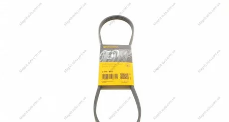 Ремінь поліклиновий Contitech 4PK895