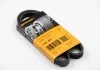 Ремень генератора Contitech 4PK850 (фото 5)