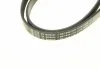 Ремень П-клиновый 5PK1800 HYUNDAI/KIA Accent/Elantra/Getz/Rio \'\'1,5-1,6 BOSCH 1 987 946 279 (фото 4)
