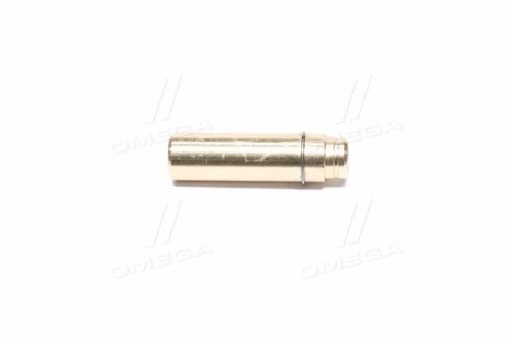 Направляющая клапана AE VAG92379B
