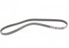 Ремінь генератора 2.0i Ford Sierra/Granada 85-94 Gates 6PK1228 (фото 4)