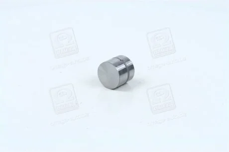 Гідрокомпенсатор_VERNA 07-11 / ACCENT 94-99 / ELANTRA 00-06 / GETZ 02-06 / PRIDE 05- / SANTA FE 00-06 (2.7 MPI) / SONATA EF 98-03 (2.7 MPI MOBIS 2223137100