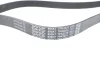 Ремень поликлиновый DAYCO 7PK2275 (фото 3)