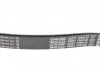 Ремень поликлиновый DAYCO 7PK2120 (фото 2)