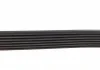 Ремень поликлиновый DAYCO 7PK2120 (фото 3)