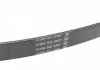 Ремень генератора, 2.5D/TDI 94-02 AC /2.5D -95 Jumper/Boxer DAYCO 6PK915 (фото 3)