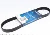 Ремень поликлиновый DAYCO 6PK800
