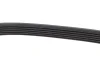Ремінь генератора JEEP Grand Cherokee -19 DAYCO 6PK2605 (фото 4)