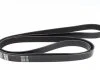 Ремень поликлиновый DAYCO 6PK2070 (фото 3)