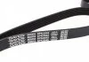 Ремень поликлиновый DAYCO 6PK2045 (фото 2)