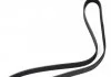 Поліклиновий ремінь VOLVO 850, C70 I, S70, S90 I, V70 I, V90 I, XC70 I CHEVROLET CRUZE, TRAX CHRYSLER SEBRING, VOYAGER IV CITROEN C4 GRAND PICASSO I, C4 II, C4 PICASSO I 1.0-2.9 06.91- DAYCO 6PK1250 (фото 2)