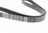 Ремень поликлиновый DAYCO 6PK1165 (фото 2)