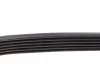 Ремень поликлиновый DAYCO 6PK1165 (фото 3)