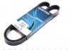 Ремень поликлиновый DAYCO 6PK1160 (фото 1)