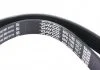 Ремень поликлиновый DAYCO 6PK1160 (фото 3)