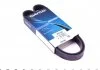 Ремень поликлиновый DAYCO 6PK1030 (фото 1)