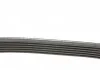 Поликлиновый ремень CHRYSLER VOYAGER III CITROEN BERLINGO, JUMPER I, XSARA, XSARA PICASSO FORD ESCORT V, ESCORT VI PEUGEOT 206, BOXER RENAULT CLIO I, ESPACE III 1.1-2.5D 07.90- DAYCO 6PK1013 (фото 2)