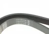 Поликлиновый ремень CHRYSLER VOYAGER III CITROEN BERLINGO, JUMPER I, XSARA, XSARA PICASSO FORD ESCORT V, ESCORT VI PEUGEOT 206, BOXER RENAULT CLIO I, ESPACE III 1.1-2.5D 07.90- DAYCO 6PK1013 (фото 3)