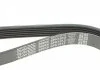 Поликлиновый ремень CHRYSLER VOYAGER III CITROEN BERLINGO, JUMPER I, XSARA, XSARA PICASSO FORD ESCORT V, ESCORT VI PEUGEOT 206, BOXER RENAULT CLIO I, ESPACE III 1.1-2.5D 07.90- DAYCO 6PK1013 (фото 4)