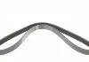 Поликлиновый ремень CHRYSLER VOYAGER III CITROEN BERLINGO, JUMPER I, XSARA, XSARA PICASSO FORD ESCORT V, ESCORT VI PEUGEOT 206, BOXER RENAULT CLIO I, ESPACE III 1.1-2.5D 07.90- DAYCO 6PK1013 (фото 5)