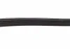 Ремень поликлиновый DAYCO 5PK1450 (фото 4)