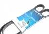 Ремень П-клиновый Dayco DAYCO 5PK1290 (фото 1)