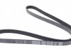 Ремень П-клиновый Dayco DAYCO 5PK1290 (фото 3)