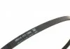 Ремень поликлиновый DAYCO 3PK600 (фото 2)