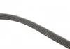 Комплект ременя генератора Kangoo 1.4/1.6 97- Gates K015PK1750 (фото 3)