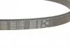 Комплект ременя генератора Kangoo 1.4/1.6 97- Gates K015PK1750 (фото 4)