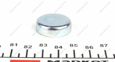 Пробка антифриза (FEBI) FEBI BILSTEIN 02544