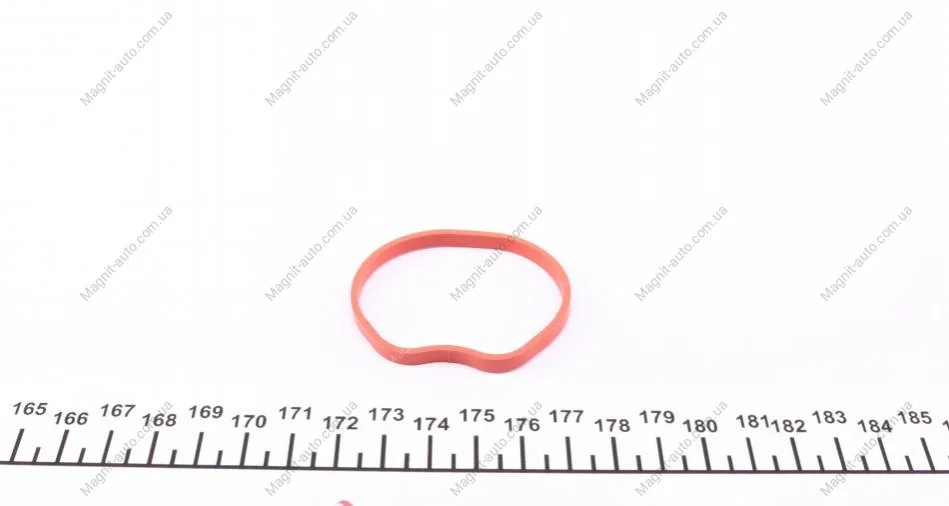 Прокладка впускного колектора FORD Fiesta,Fusion,Focus 1,25-1,4-1,6 01-11 ELRING 025.260 (фото 1)