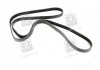 Ремень генератора, CDI (+AC) SKF VKMV6PK2270