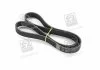 Ремень поликлин. (пр-во) SKF VKMV6PK1117
